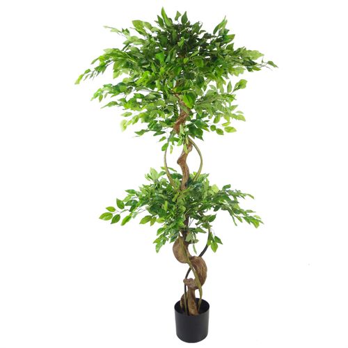 150cm Artificial Japanese Fruticosa Ficus Tree with Twisted Trunk