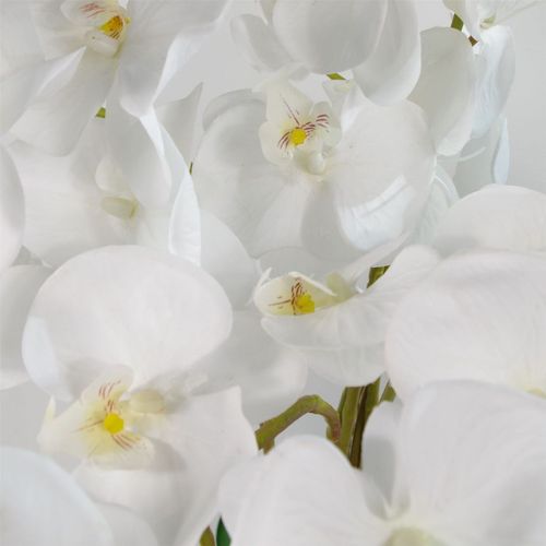 Elegant White Deluxe Orchid Bush