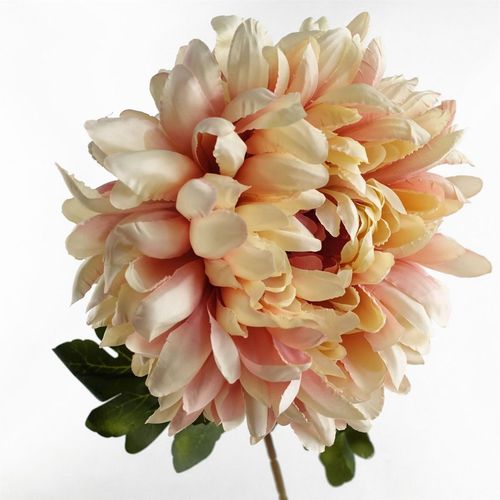 Set of 6 Extra Large Pink Reflex Chrysanthemum Stems