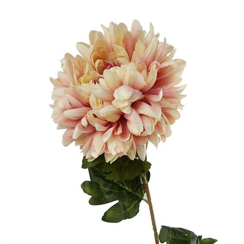 Set of 6 Extra Large Pink Reflex Chrysanthemum Stems