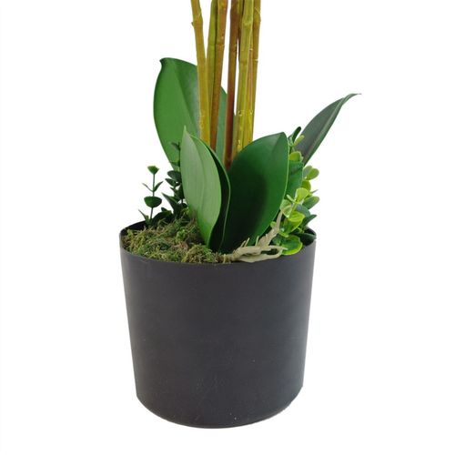 Elegant White Deluxe Orchid Bush