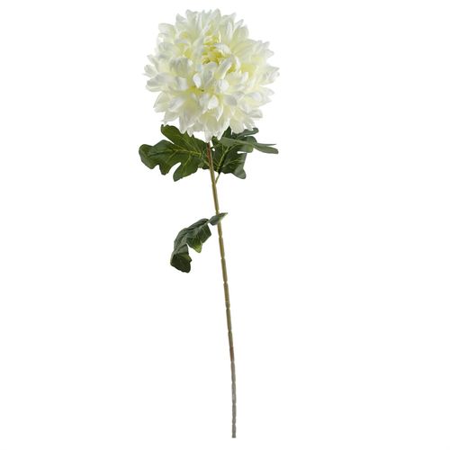 White Extra Large Reflex Chrysanthemum Stem