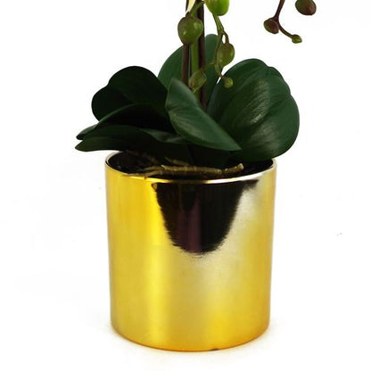 52cm Elegant White Orchid in Gold Decorative Pot