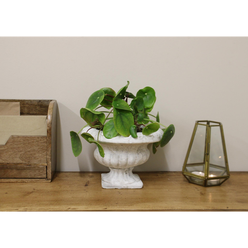 Elegant Heritage Low Urn Planter