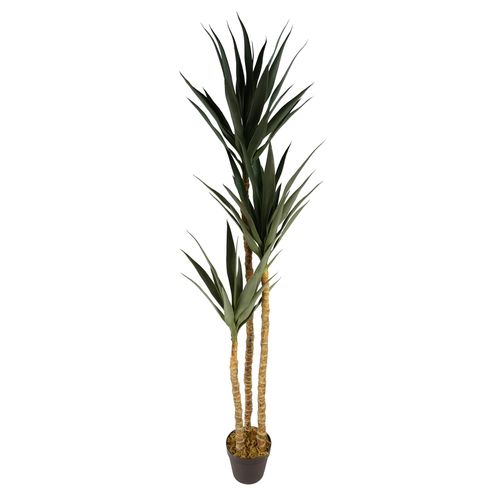 170cm XL Triple Yucca Tree - Lifelike Spiky Artificial Plant