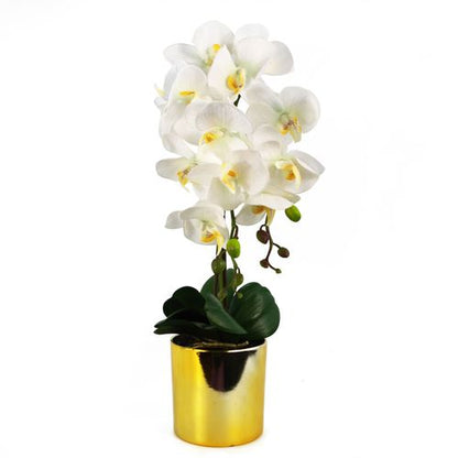 52cm Elegant White Orchid in Gold Decorative Pot