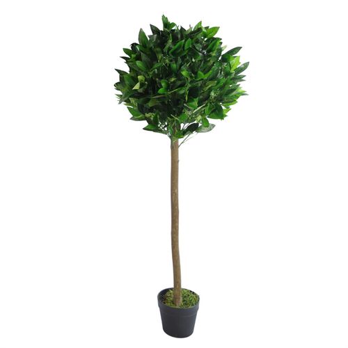 Pair of 120cm (4ft) Elegant Bay Laurel Ball Topiary Trees with Plain Stems