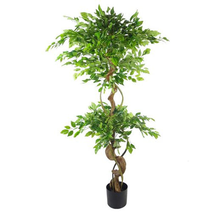 150cm Artificial Japanese Fruticosa Ficus Tree with Twisted Trunk