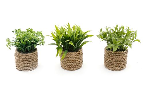 Set of 3 Rope-Style Planters with Artificial Succulents