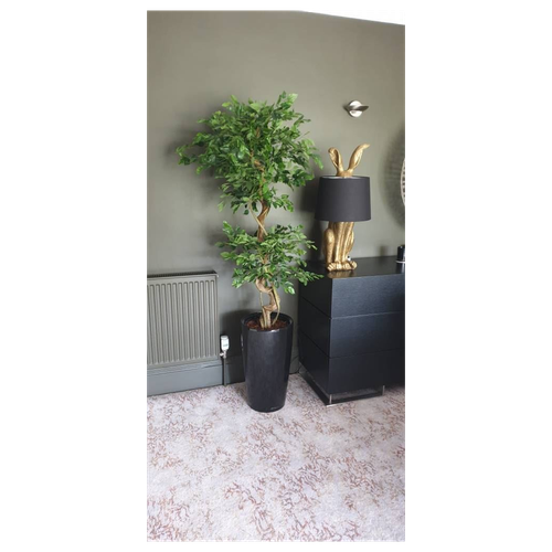 150cm Artificial Japanese Fruticosa Ficus Tree with Twisted Trunk