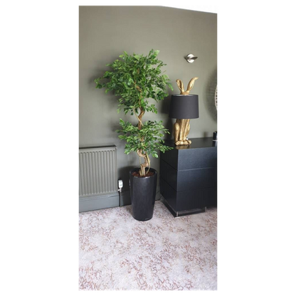 150cm Artificial Japanese Fruticosa Ficus Tree with Twisted Trunk