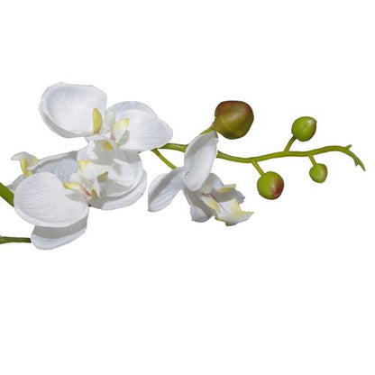 60cm Artificial Luxury Orchid - Triple Stem - White Realistic Plant