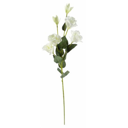 Set of 6 Artificial White Wild Rose Stems (80cm) – 36 Bloom Bouquet