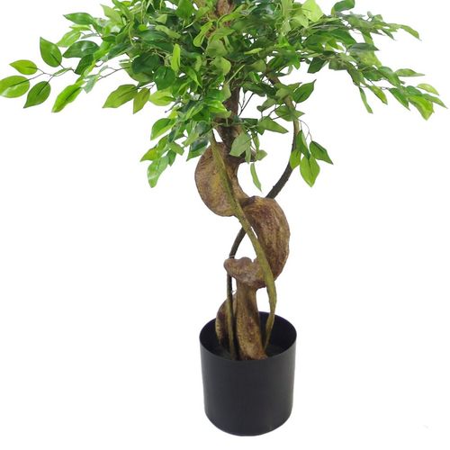 150cm Artificial Japanese Fruticosa Ficus Tree with Twisted Trunk