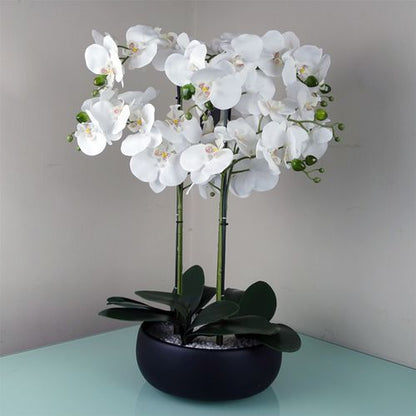 60cm Orchid Artificial White Black Ceramic Planter