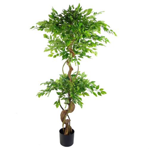 150cm Twisted Trunk Artificial Japanese Ficus Tree – Fruticosa Style