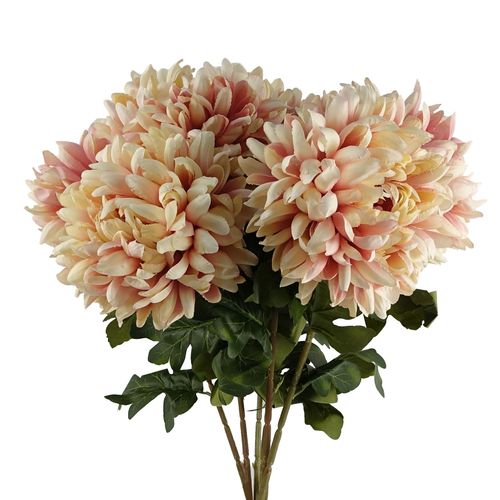 Set of 6 Extra Large Pink Reflex Chrysanthemum Stems