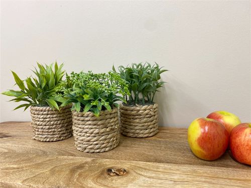 Set of 3 Rope-Style Planters with Artificial Succulents