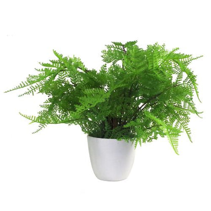 30cm Artificial Lady Fern in Decorative Pot