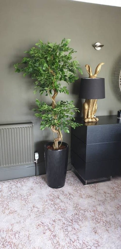 150cm Twisted Trunk Artificial Japanese Ficus Tree – Fruticosa Style