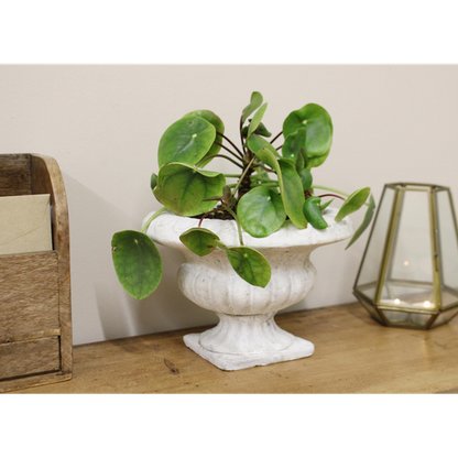 Elegant Heritage Low Urn Planter