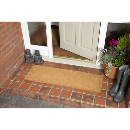 Astley Natural Coir & PVC Backed Doormat