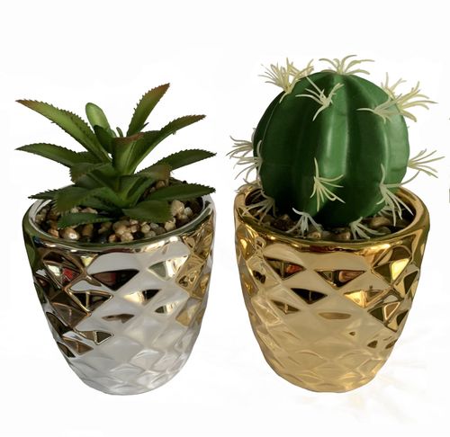 Set of 2 Ceramic Planters with Artificial Cactus & Dracaena