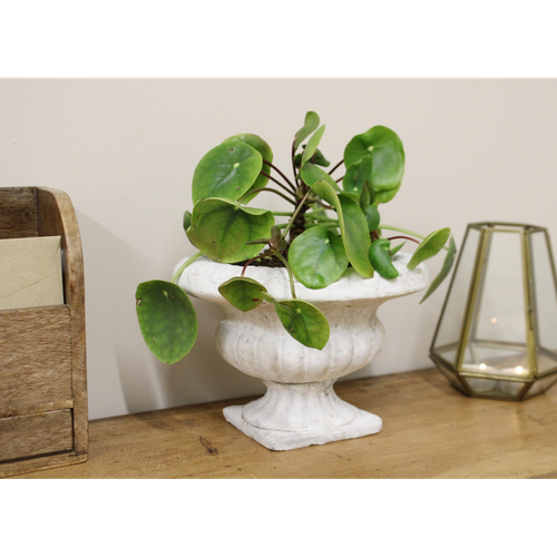 Elegant Heritage Low Urn Planter