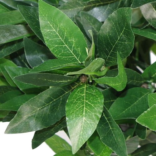 Pair of 120cm (4ft) Elegant Bay Laurel Ball Topiary Trees with Plain Stems