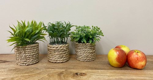 Set of 3 Rope-Style Planters with Artificial Succulents