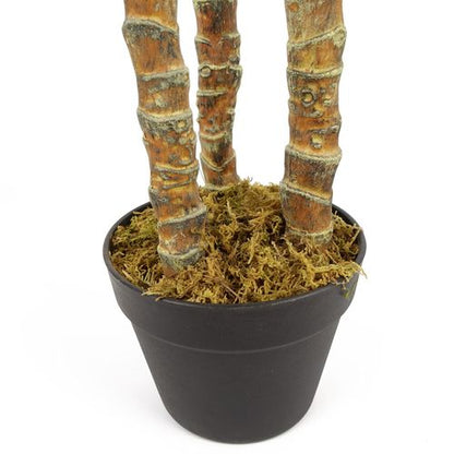 170cm XL Triple Yucca Tree - Lifelike Spiky Artificial Plant