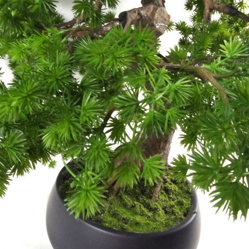 Faux Luxury Pine Bonsai Tree