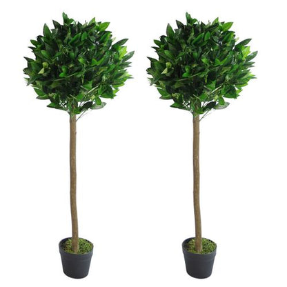 Pair of 120cm (4ft) Elegant Bay Laurel Ball Topiary Trees with Plain Stems