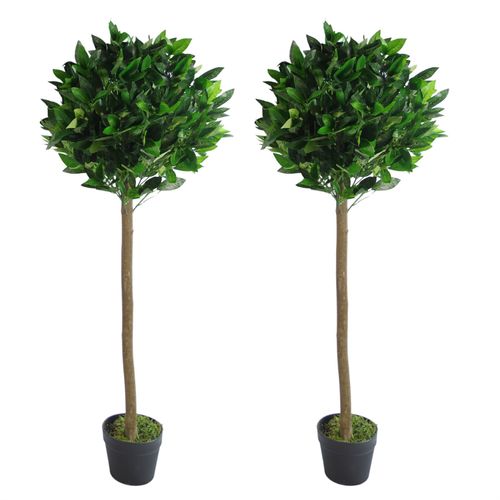 Pair of 120cm (4ft) Elegant Bay Laurel Ball Topiary Trees with Plain Stems