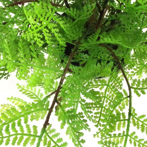 30cm Artificial Lady Fern in Decorative Pot